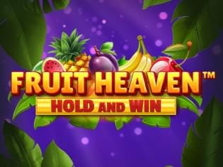 Fruit Heaven Hold and Win game icon